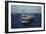 Aircraft Carrier USS Ronald Reagan Leads Allied Ships on Pacific Ocean, July 2010-null-Framed Photo