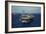 Aircraft Carrier USS Ronald Reagan Leads Allied Ships on Pacific Ocean, July 2010-null-Framed Photo