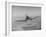 Aircraft Flying Straight On-Dmitri Kessel-Framed Photographic Print