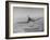 Aircraft Flying Straight On-Dmitri Kessel-Framed Photographic Print