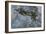 Aircraft in Dogfight-Wilf Hardy-Framed Giclee Print