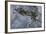 Aircraft in Dogfight-Wilf Hardy-Framed Giclee Print