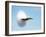 Aircraft Sonic Boom Cloud-u.s. Department of Energy-Framed Photographic Print