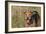 Airedale Terrier 04-Bob Langrish-Framed Photographic Print