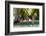 Airedales under a Shade Tree on Lawn-Zandria Muench Beraldo-Framed Photographic Print