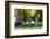 Airedales under a Shade Tree on Lawn-Zandria Muench Beraldo-Framed Photographic Print