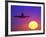 Airplane at Sunset-Mitch Diamond-Framed Photographic Print