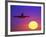 Airplane at Sunset-Mitch Diamond-Framed Photographic Print