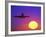 Airplane at Sunset-Mitch Diamond-Framed Photographic Print