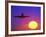 Airplane at Sunset-Mitch Diamond-Framed Photographic Print