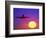 Airplane at Sunset-Mitch Diamond-Framed Photographic Print