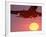 Airplane in Flight During Sunrise, Sunset-Mitch Diamond-Framed Photographic Print