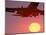 Airplane in Flight During Sunrise, Sunset-Mitch Diamond-Mounted Photographic Print