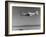 Airplane in Flight, Speed-Blurred-J^ R^ Eyerman-Framed Photographic Print