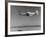 Airplane in Flight, Speed-Blurred-J^ R^ Eyerman-Framed Photographic Print