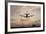 Airplane landing-Charles Bowman-Framed Photographic Print