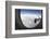 Airplane Window Looking Out on Cloudy Sky-Paul Souders-Framed Photographic Print