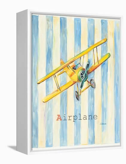Airplane-Catherine Richards-Framed Stretched Canvas