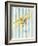 Airplane-Catherine Richards-Framed Art Print