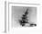 Airplanes in Flight-Bettmann-Framed Photographic Print
