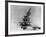 Airplanes in Flight-Bettmann-Framed Photographic Print