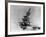 Airplanes in Flight-Bettmann-Framed Photographic Print