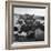 Airplanes Sitting on Airstrip at Airfield and Supplies Sitting in Trucks-Jack Birns-Framed Photographic Print