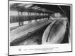 Photographic Print