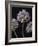 Airy Alliums-Assaf Frank-Framed Giclee Print