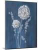 Airy Blooms I Dark Blue-Danhui Nai-Mounted Art Print