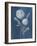 Airy Blooms II Dark Blue-Danhui Nai-Framed Art Print