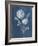 Airy Blooms II Dark Blue-Danhui Nai-Framed Art Print