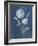 Airy Blooms II Dark Blue-Danhui Nai-Framed Art Print