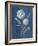 Airy Blooms II Dark Blue-Danhui Nai-Framed Art Print