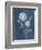 Airy Blooms II Dark Blue-Danhui Nai-Framed Premium Giclee Print