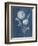 Airy Blooms II Dark Blue-Danhui Nai-Framed Premium Giclee Print