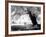 Aiveo-Craig Satterlee-Framed Photographic Print