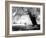 Aiveo-Craig Satterlee-Framed Photographic Print