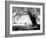 Aiveo-Craig Satterlee-Framed Photographic Print