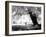 Aiveo-Craig Satterlee-Framed Photographic Print