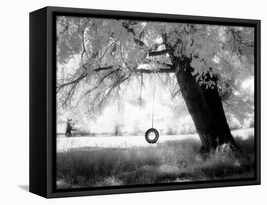 Aiveo-Craig Satterlee-Framed Premier Image Canvas