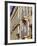 Aix En Provence, Provence, France, Europe-John Miller-Framed Photographic Print