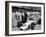 Aj Foyt in Lotus-Ford, Indianapolis 500, Indiana, USA, 1965-null-Framed Photographic Print