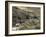 Ajanta Cave Complex, Maharastra, India-Robert Harding-Framed Photographic Print