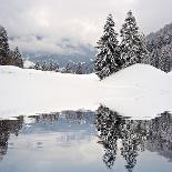 Winter Scene-ajn-Laminated Photographic Print