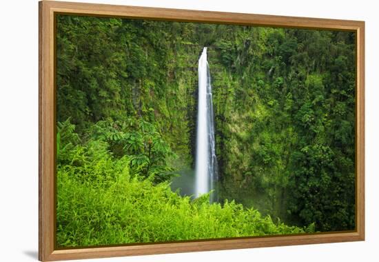 Akaka Falls, Akaka Falls State Park, The Big Island, Hawaii, USA-Russ Bishop-Framed Premier Image Canvas