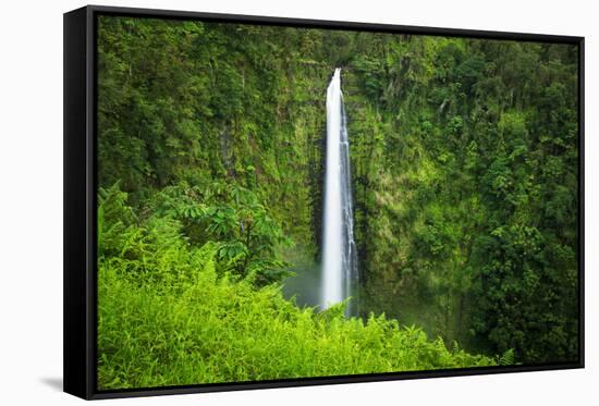 Akaka Falls, Akaka Falls State Park, The Big Island, Hawaii, USA-Russ Bishop-Framed Premier Image Canvas