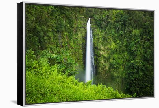 Akaka Falls, Akaka Falls State Park, The Big Island, Hawaii, USA-Russ Bishop-Framed Premier Image Canvas