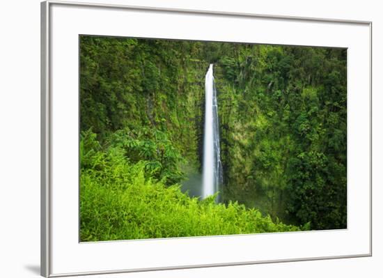 Akaka Falls, Akaka Falls State Park, The Big Island, Hawaii, USA-Russ Bishop-Framed Photographic Print