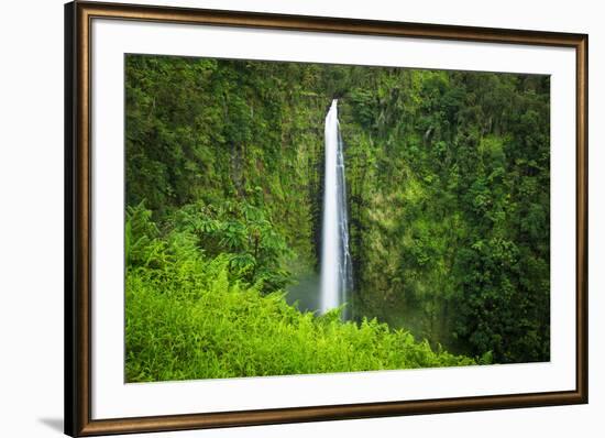 Akaka Falls, Akaka Falls State Park, The Big Island, Hawaii, USA-Russ Bishop-Framed Photographic Print